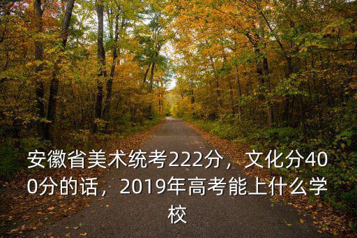 安徽省美術統考222分，文化分400分的話，2019年高考能上什么學校