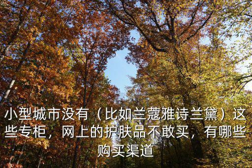 小型城市沒有（比如蘭蔻雅詩蘭黛）這些專柜，網上的護膚品不敢買，有哪些購買渠道
