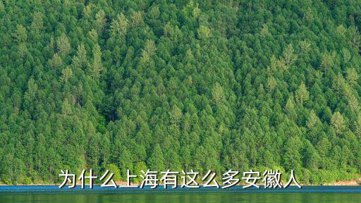 為什么上海有這么多安徽人