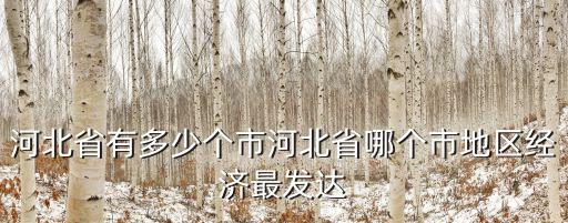 河北省省級(jí)醫(yī)院有多少個(gè),河北省有多少個(gè)市