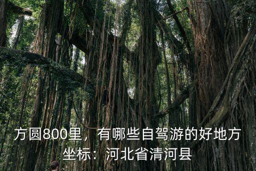 方圓800里，有哪些自駕游的好地方坐標：河北省清河縣