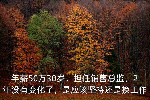 年薪50萬30歲，擔任銷售總監，2年沒有變化了，是應該堅持還是換工作