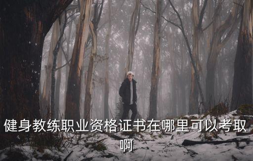成都健身行業在哪里考證,健身教練考證機構哪里的不錯