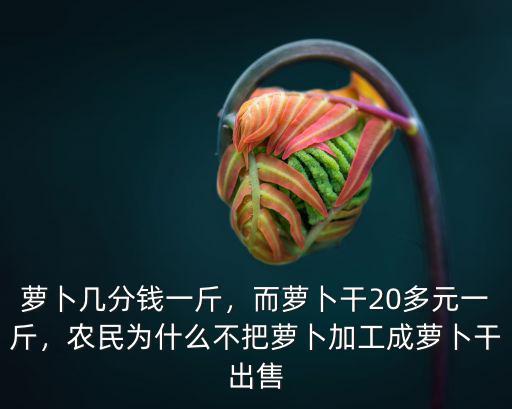 宿州包莊蘿卜多少錢一斤,蘿卜幾分錢一斤