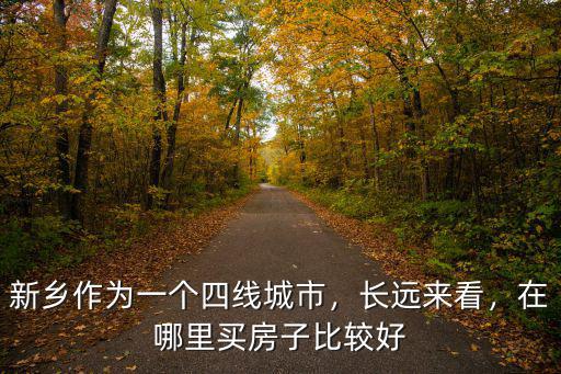 新鄉作為一個四線城市，長遠來看，在哪里買房子比較好