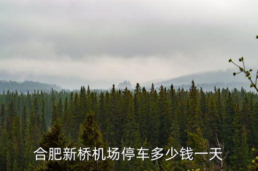 合肥機(jī)場停車3天多少錢,合肥新橋機(jī)場停車多少錢一天