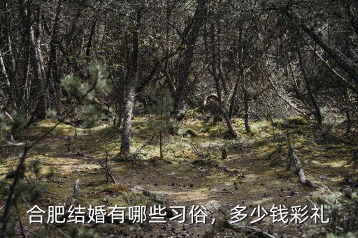 安徽彩禮錢給女方多少,想知道安徽的彩禮要多少錢