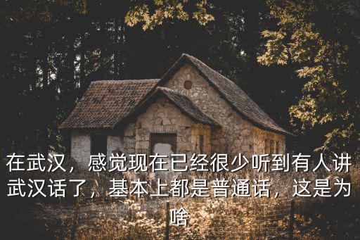 武漢話樂樂怎么說,不會說武漢話