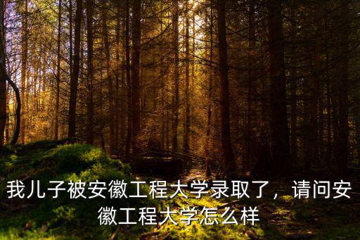安徽工程大學(xué)今年多少分能上,安徽工程大學(xué)全國(guó)排名多少