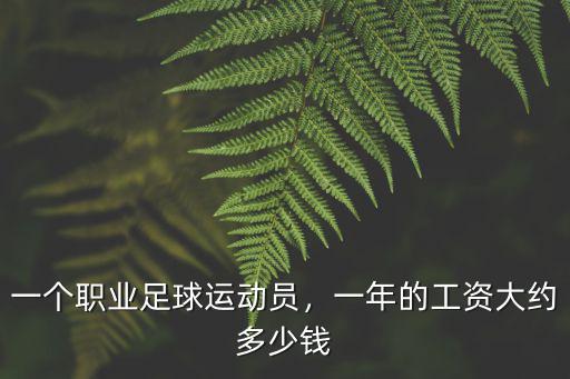 一個(gè)職業(yè)足球運(yùn)動(dòng)員，一年的工資大約多少錢