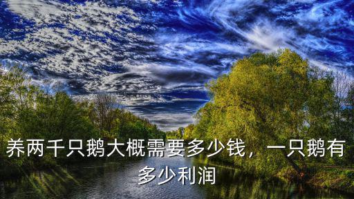河北純種陽(yáng)春鵝苗多少錢一只,一只鵝有多少利潤(rùn)