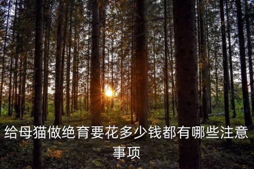 母貓絕育要多少錢保定徐水區,給母貓做絕育要花多少錢