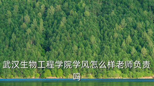 武漢生物工程學院藝術怎么樣,武漢生物工程學院怎么樣