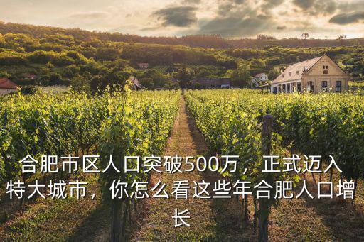 合肥人口多少億,合肥每年能增加多少人口