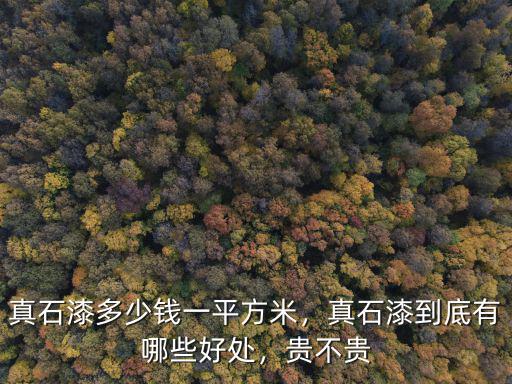 蕪湖真石漆多少一平方,真石漆到底有哪些好處