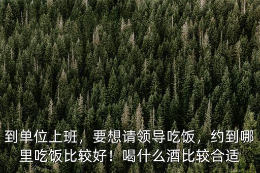 到單位上班，要想請(qǐng)領(lǐng)導(dǎo)吃飯，約到哪里吃飯比較好！喝什么酒比較合適