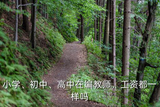 銅陵在編初中老師工資多少,中學在編教師工資一年多少