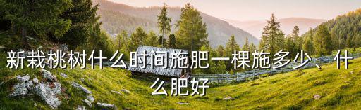 新栽桃樹什么時間施肥一棵施多少、什么肥好