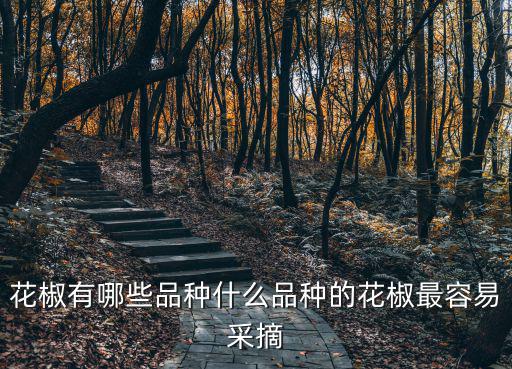 成都哪里有摘花椒的,花椒有哪些品種