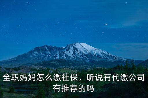 全職媽媽怎么繳社保，聽說有代繳公司有推薦的嗎
