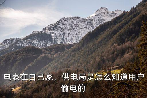 河南南陽電網怎么抄表的,現在的電表怎么不用人工抄表