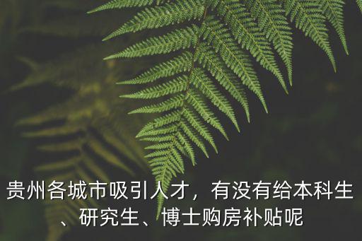 銅陵市本科生購(gòu)房補(bǔ)貼有多少錢,博士購(gòu)房補(bǔ)貼呢
