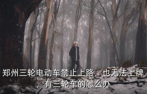 鄭州三輪車在哪里上牌,有三輪車的怎么辦