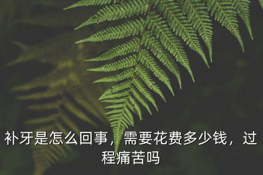 亳州補牙釉質需要多少錢,補一個牙需要多少錢