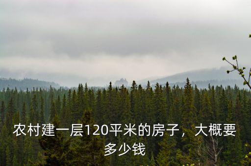 安徽農村蓋房子一層多少錢一平方,大概要多少錢