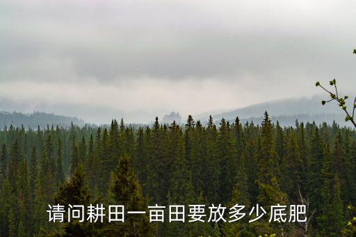 一畝田蓮藕田需要多少復合肥,一畝田水稻用多少肥料