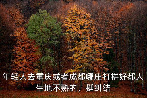 去成都打拼選哪里好,是去成都比較好