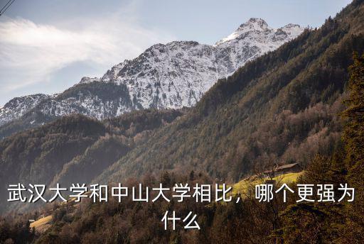 武漢中山大學怎么樣,武漢大學和中山大學之間