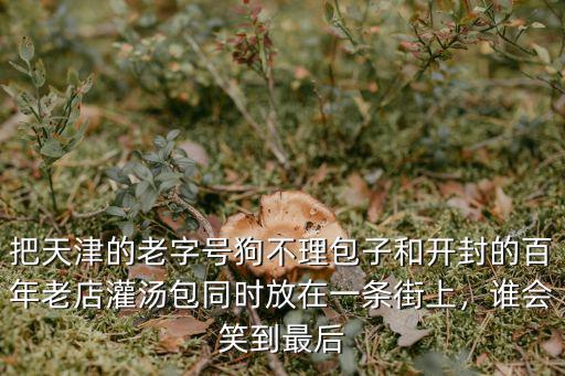 把天津的老字號狗不理包子和開封的百年老店灌湯包同時放在一條街上，誰會笑到最后