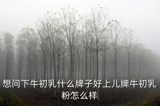 牛初乳粉怎么開封,上兒牌牛初乳粉怎么樣