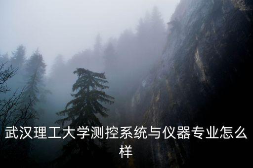 武漢理工余家頭自動化專業怎么樣,計算機自動化類理工專業都可