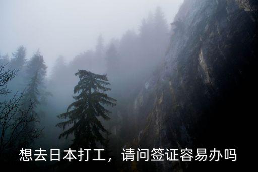 安陽(yáng)怎么去日本打工簽證,想去日本打工