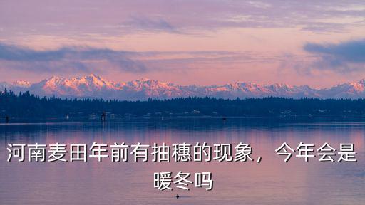 河南今年麥子怎么樣,今年河南小麥?zhǔn)粘稍趺礃?/></a></span><span id=