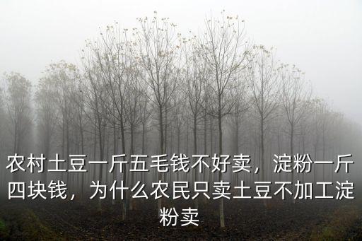農(nóng)村土豆一斤五毛錢不好賣，淀粉一斤四塊錢，為什么農(nóng)民只賣土豆不加工淀粉賣