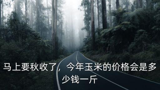 承德收購玉米價多少錢一斤,今年新玉米多少錢出手不虧錢