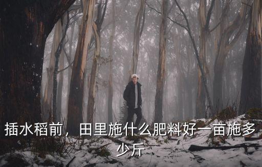 插水稻前，田里施什么肥料好一畝施多少斤