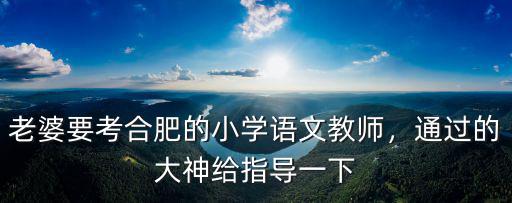 合肥考編小學語文綜合分多少,想考小學語文