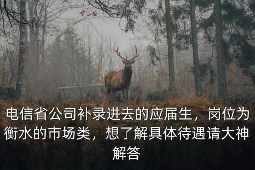 電信省公司補錄進去的應屆生，崗位為衡水的市場類，想了解具體待遇請大神解答