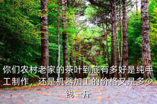 黃山白茶葉多少錢一斤,價格又是多少錢一斤