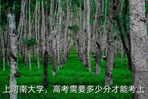 上河南大學(xué)，高考需要多少分才能考上
