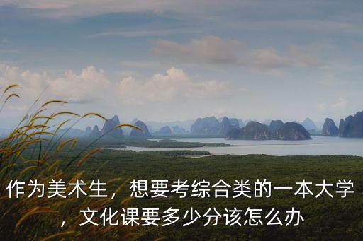 河北美術生考一本要多少分,河北美術聯(lián)考249分