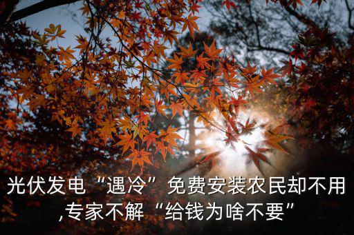 光伏發電“遇冷”免費安裝農民卻不用,專家不解“給錢為啥不要”
