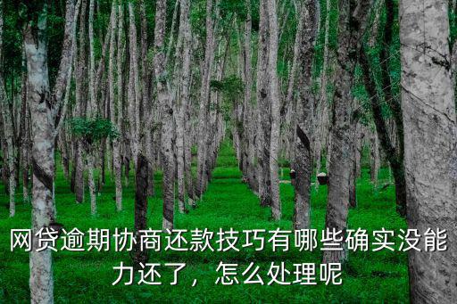 濮陽網貸逾期怎么協商還款,網貸逾期協商還款技巧有哪些