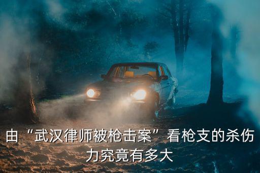 由“武漢律師被槍擊案”看槍支的殺傷力究竟有多大