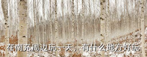 在南充周邊玩一天，有什么地方好玩
