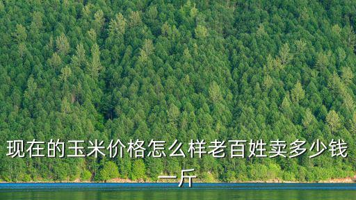 邢臺玉米價格每市斤多少錢,現在的玉米價格怎么樣